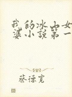我的冰山女神老婆小说第一部封面
