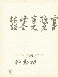 林峰宁欣官场小说全文免费阅读