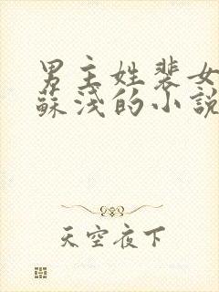 男主姓裴女主叫苏浅的小说