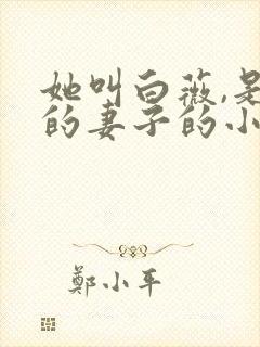 她叫白薇,是我的妻子的小说免费阅读