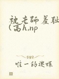 被老师羞耻调教(高h,np