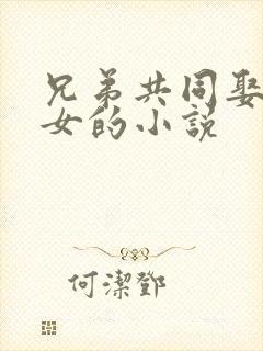 兄弟共同娶一个女的小说