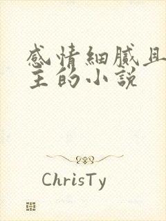 感情细腻且多女主的小说