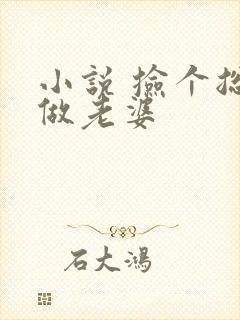 小说 捡个总裁做老婆