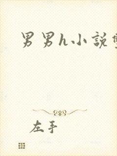 男男h小说双性封面