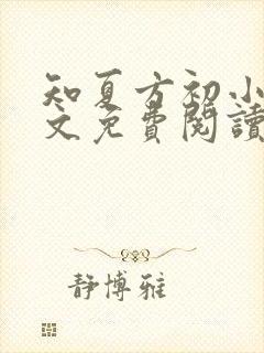 知夏方初小说全文免费阅读最新章节