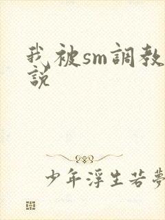 我被sm调教小说