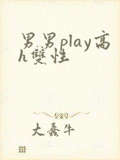 男男play高h双性封面