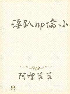 淫趴np伦小说