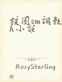 校园sm调教高h小说