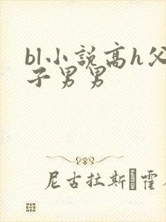 bl小说高h父子男男