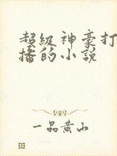 超级神豪打赏主播的小说