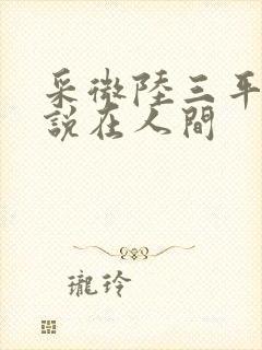 采微陆三平的小说在人间