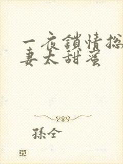 一夜锁情总裁宠妻太甜蜜