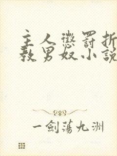 主人惩罚折磨调教男奴小说