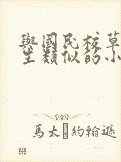 与国民校草是女生类似的小说