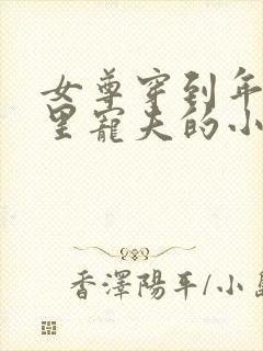 女尊穿到年代文里宠夫的小说封面