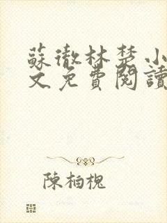 苏彻林楚小说全文免费阅读