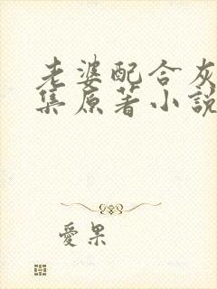 老婆配合灰狼续集原著小说