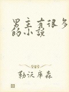 男主有很多女人的小说