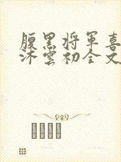 腹黑将军喜当爹沐云初全文免费阅读封面