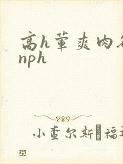 高h荤爽肉欲文nph封面