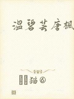 温碧芸唐枫小说