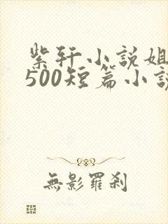 紫轩小说姐弟妹500短篇小说封面