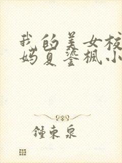 我的美女校长妈妈夏鎏枫小说阅读全文