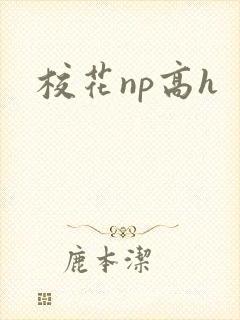 校花np高h封面