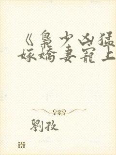 《枭少凶猛,替嫁娇妻宠上天》小说