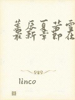 叶辰夏若雪孙怡最新章节在线阅读