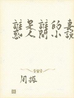 谁是谁的妻子魅惑人间小说