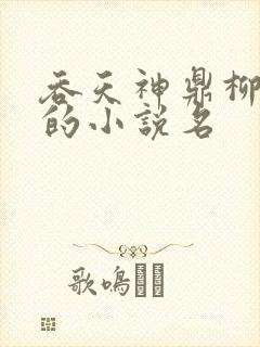 吞天神鼎柳无邪的小说名