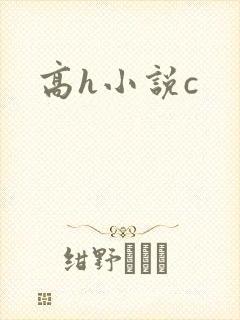 高h小说c