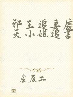 邪王追妻废材逆天小姐追书