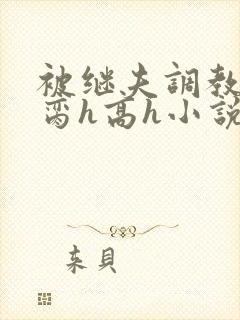 被继夫调教成禁脔h高h小说封面