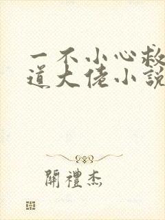 一不小心救了黑道大佬小说封面