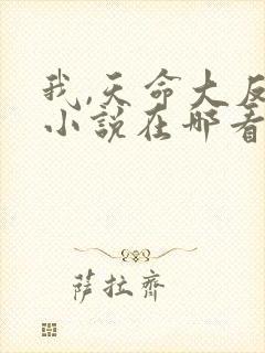 我,天命大反派小说在哪看封面