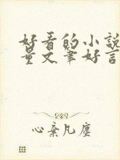 好看的小说高质量文笔好言情