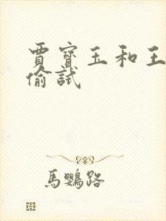 贾宝玉和王夫人偷试