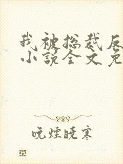 我被总裁反套路小说全文免费阅读封面