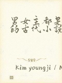 男女主都是穿越的古代小说封面