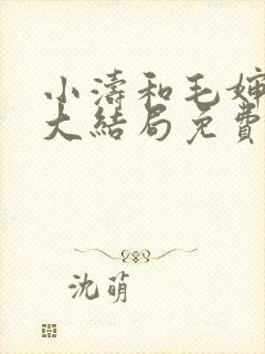 小涛和毛婶小说大结局免费阅读