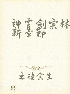 神霄剑宗林枫最新章节