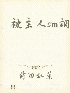 被主人sm调教