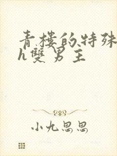 青楼的特殊调教h双男主封面