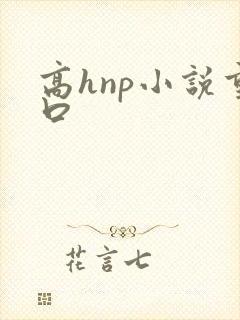 高hnp小说重口