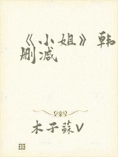 《小姐》韩剧未删减