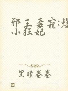 邪王毒宠:爆萌小狂妃